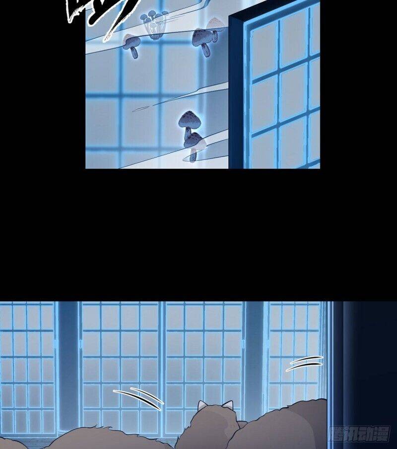 The Distinguished Cute Master chapter 225 page 19