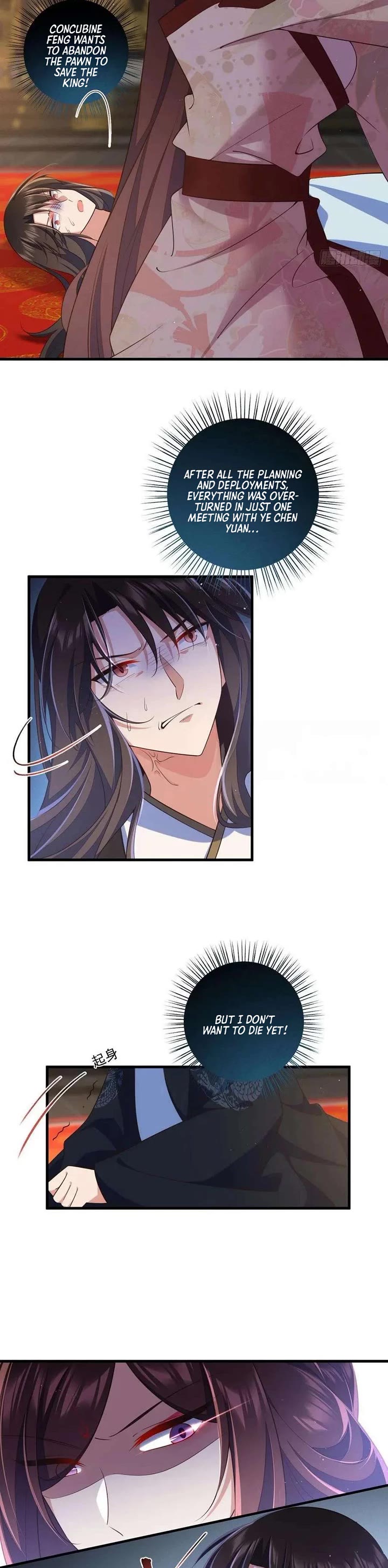 The Distinguished Cute Master chapter 340 page 14