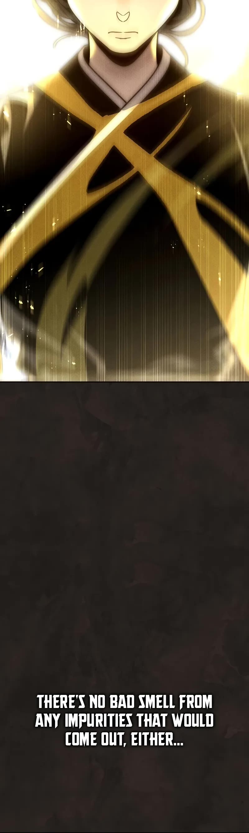 The Divine Demon's Grand Ascension chapter 24 page 46