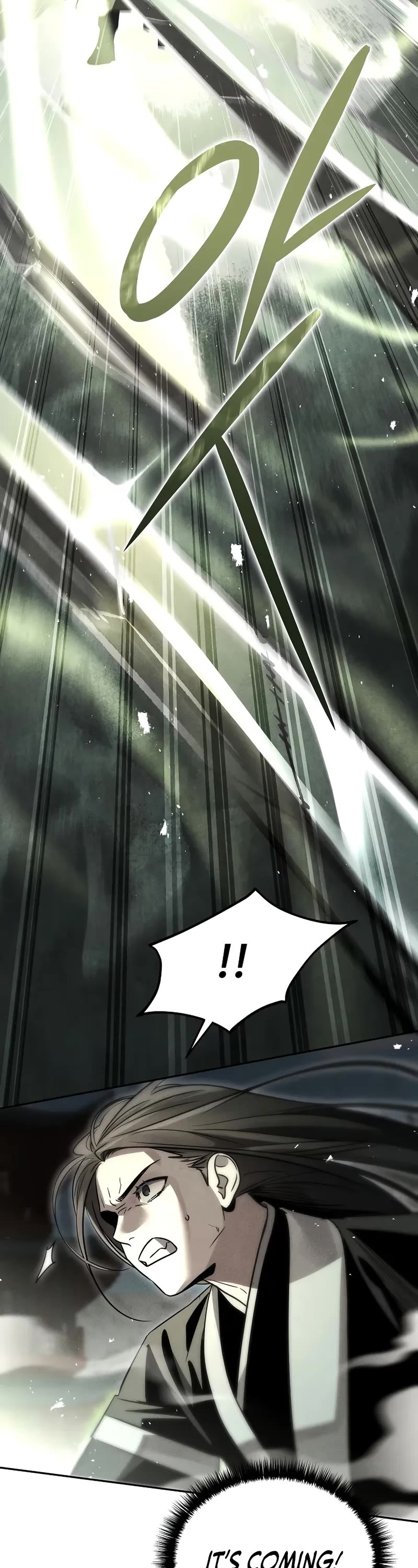 The Divine Demon's Grand Ascension chapter 28 page 29