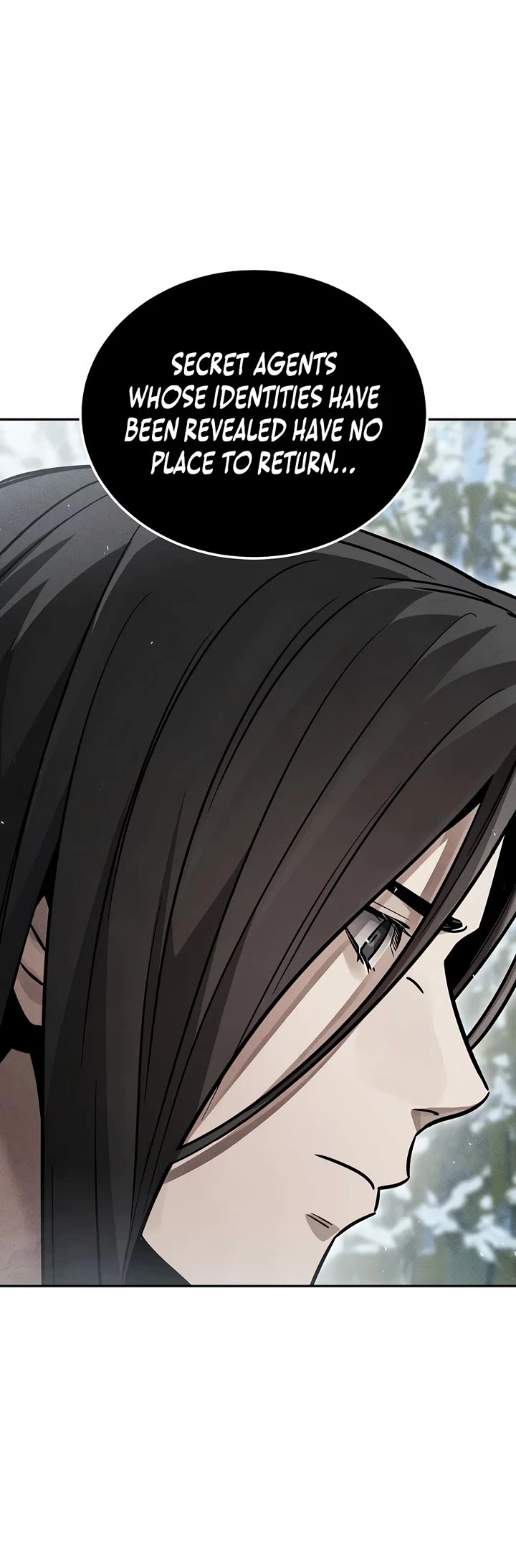 The Divine Demon's Grand Ascension chapter 50 page 14