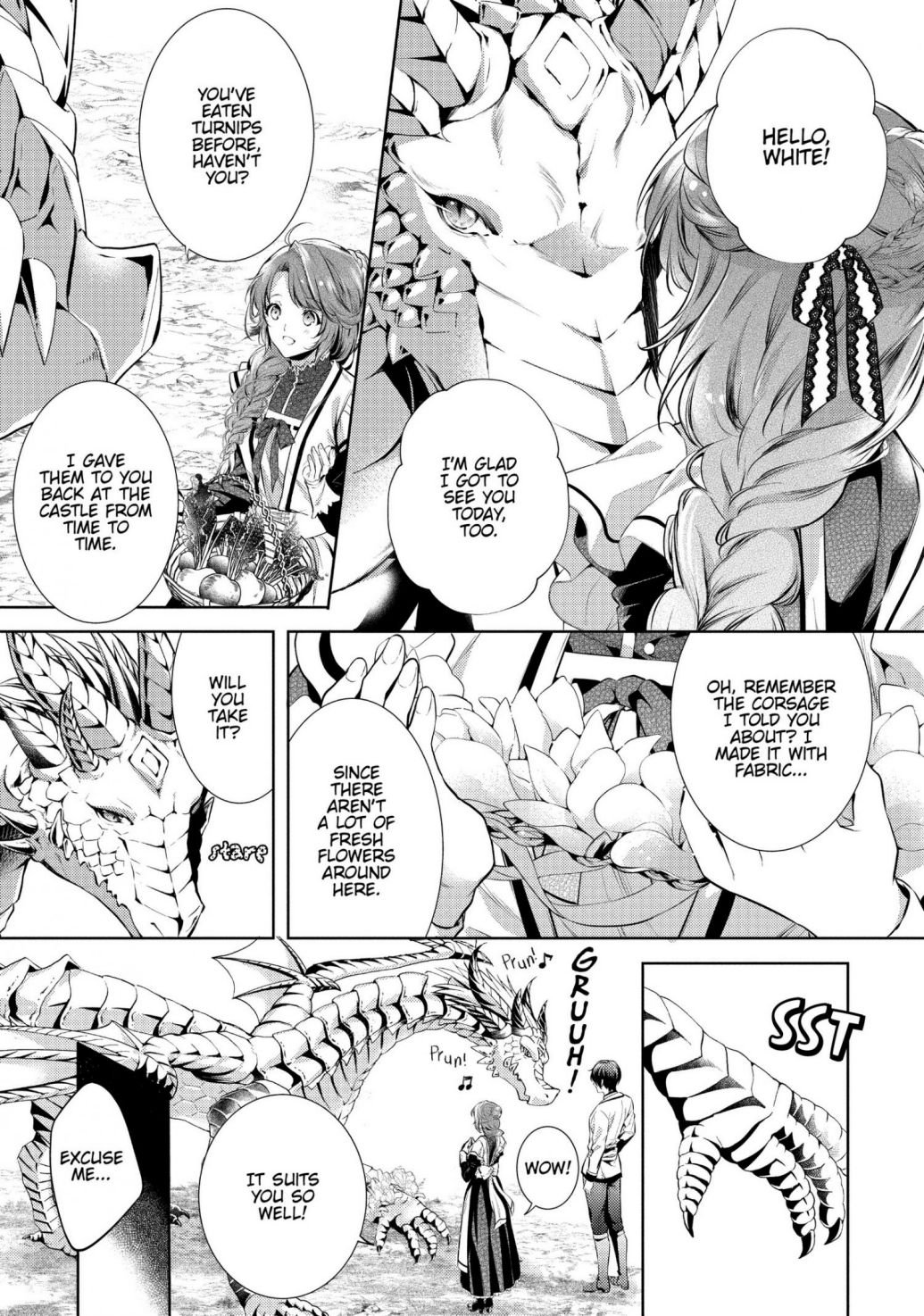 The Dragon Knight's Favorite chapter 19 page 11