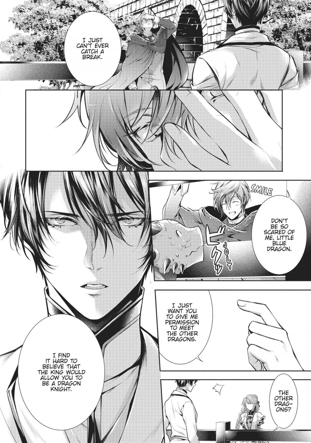 The Dragon Knight's Favorite chapter 24 page 14