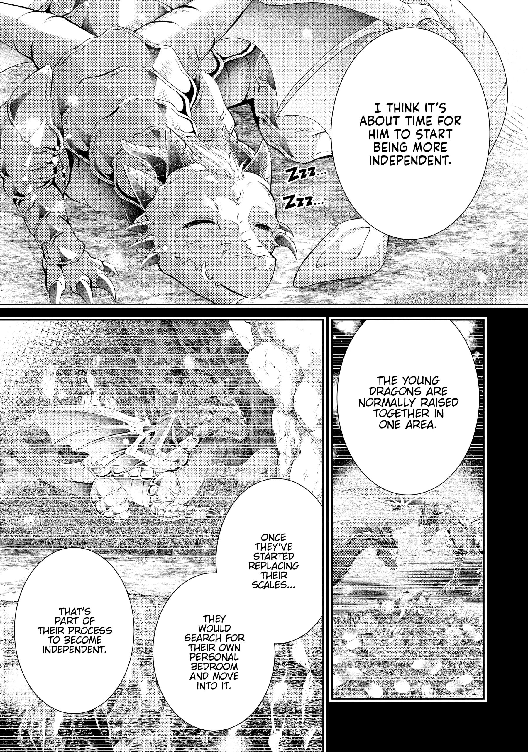 The Dragon Knight's Favorite chapter 36 page 11