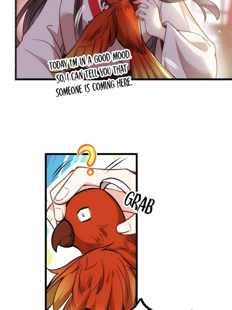 The Eunuch's Consort Rules the World chapter 204 page 10