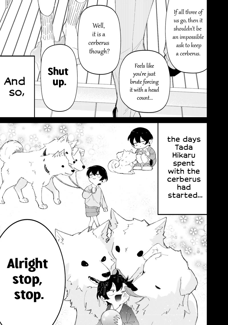 The Gals Who Always Say Insane Things: My Daily Life at a Private Paranormal High School chapter 49 page 15
