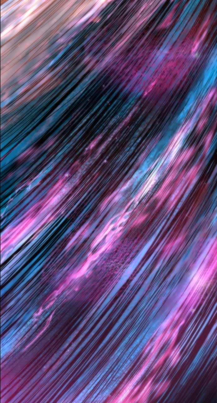 The God of High School chapter 557 page 134