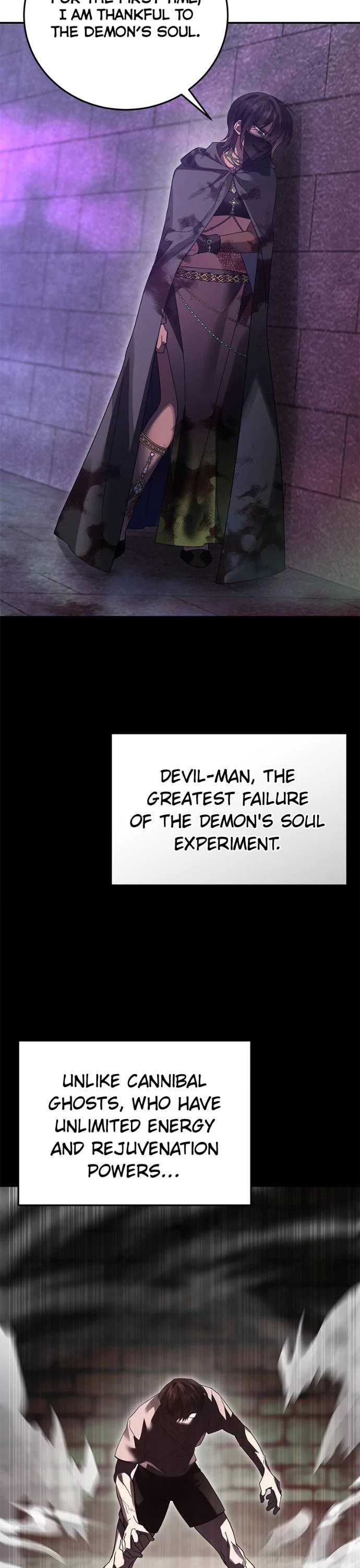 The Hero, the Demon, and the Villain chapter 117 page 33