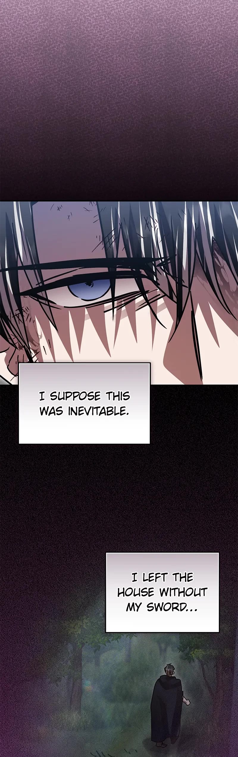 The Hero, the Demon, and the Villain chapter 67 page 14