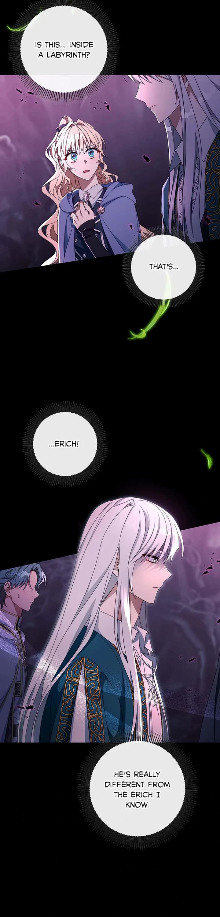 The Hero's Savior chapter 118 page 11