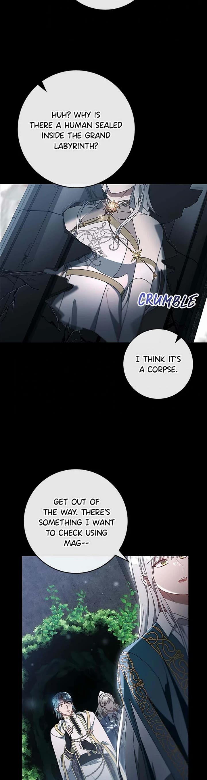 The Hero's Savior chapter 118 page 40