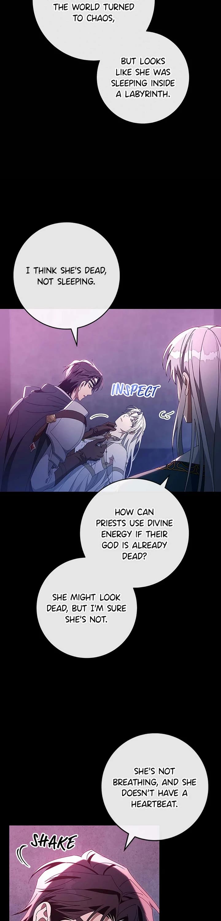 The Hero's Savior chapter 119 page 3