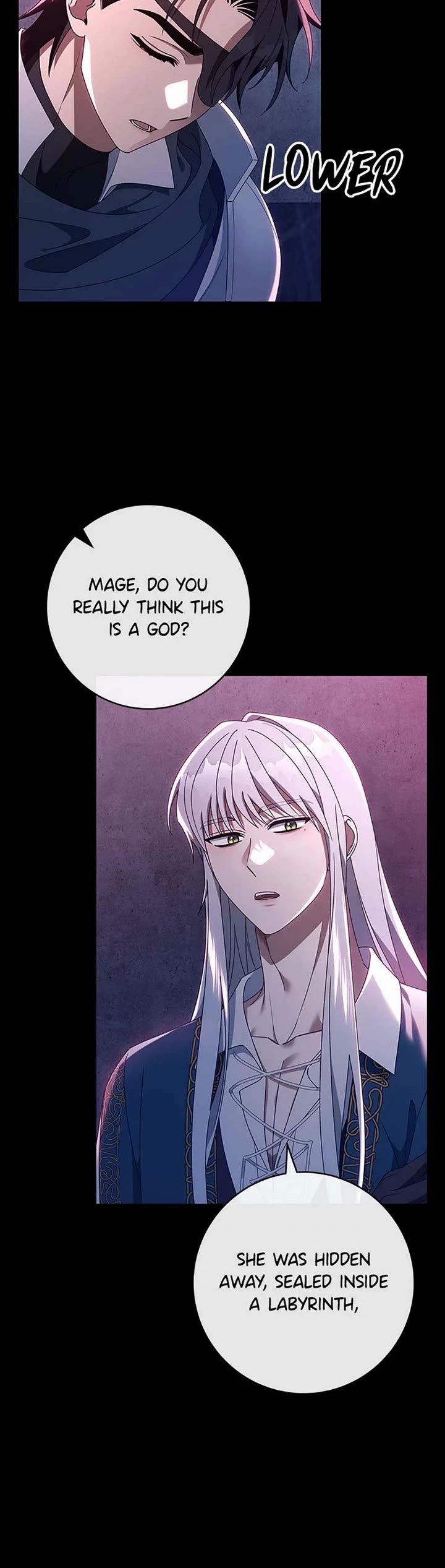 The Hero's Savior chapter 119 page 4