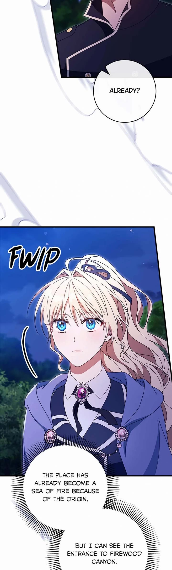 The Hero's Savior chapter 136 page 29