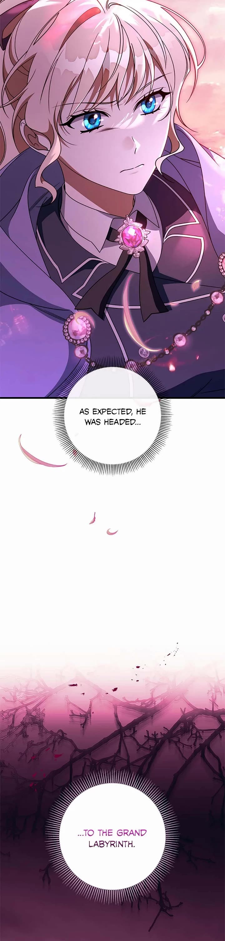 The Hero's Savior chapter 146 page 3