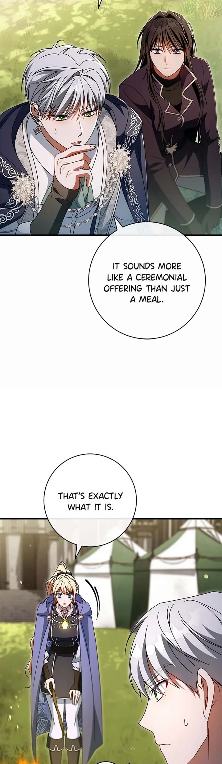 The Hero's Savior chapter 153 page 29