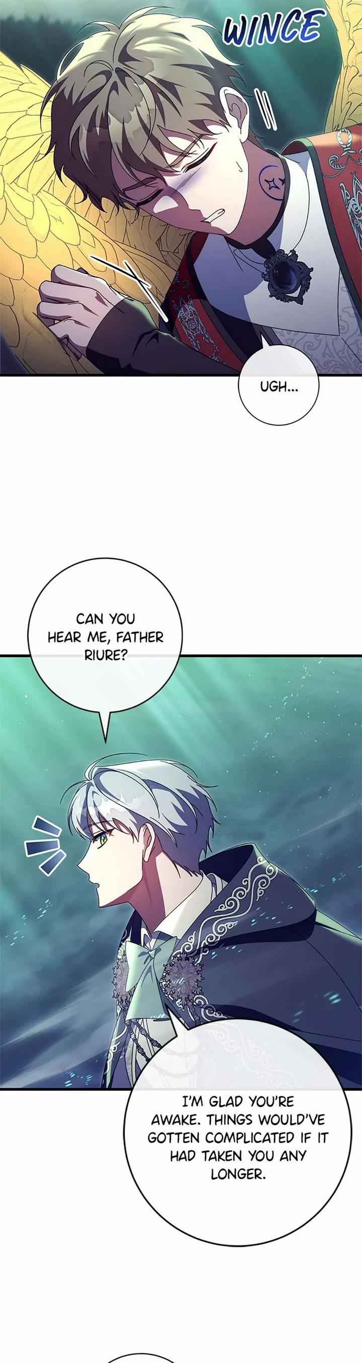The Hero's Savior chapter 159 page 14