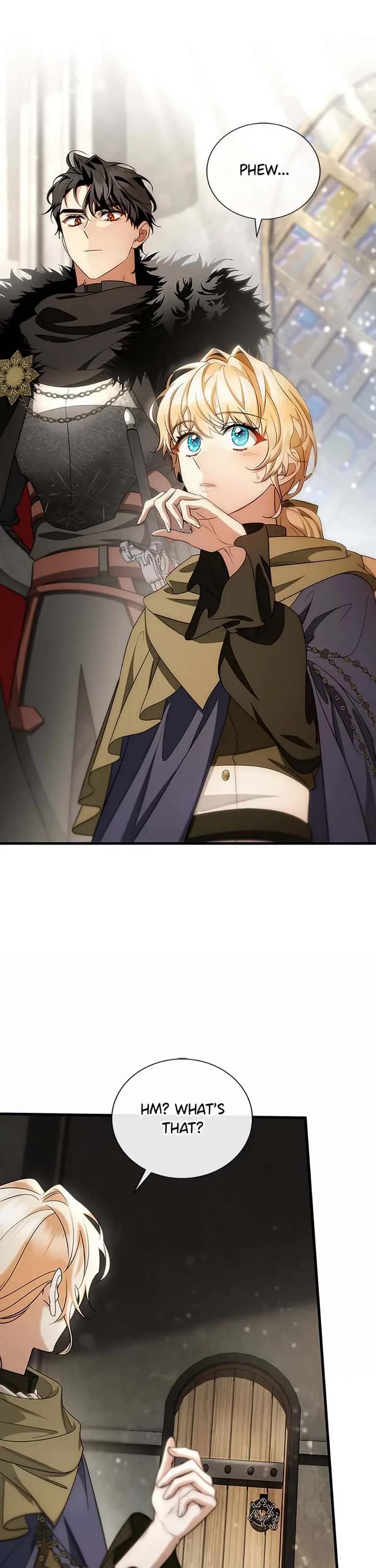 The Hero's Savior chapter 76 page 3