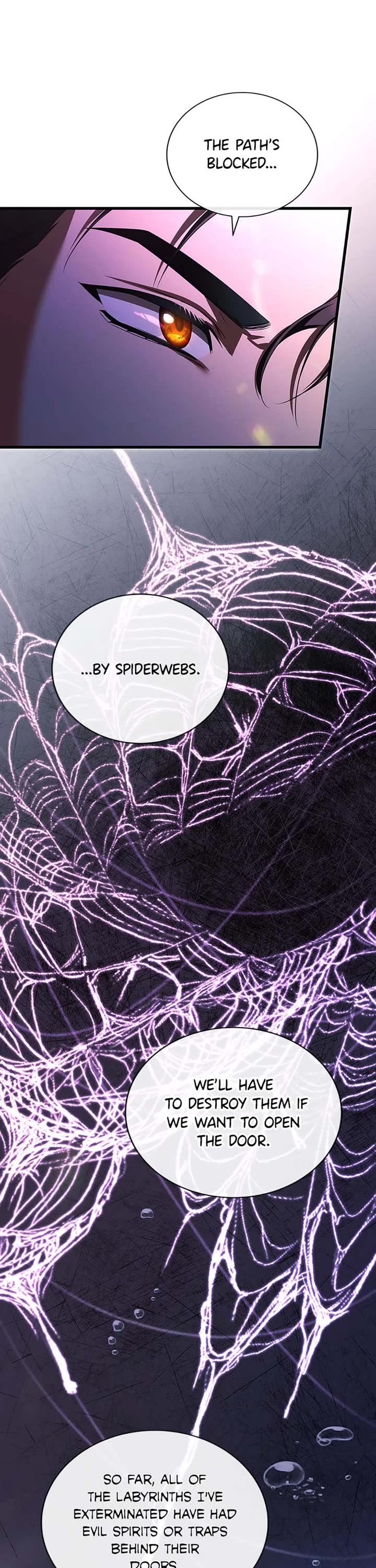 The Hero's Savior chapter 91 page 17