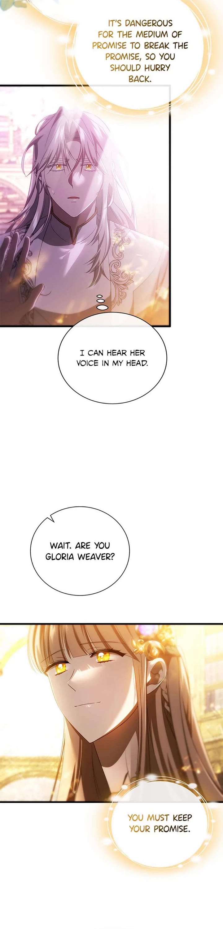 The Hero's Savior chapter 96 page 17