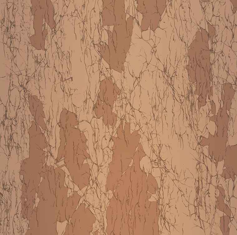 The house without time chapter 14 page 57