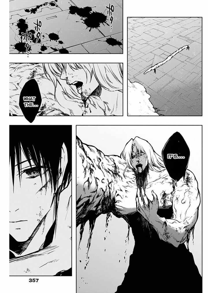 The Irregular of the Royal Academy of Magic chapter 97 page 13