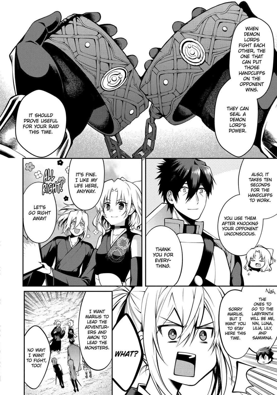 The Labyrinth Raids of the Ultimate Tank ~The Tank Possessing a Rare 9,999 Endurance Skill was Expelled from the Hero Party~ chapter 27 page 4