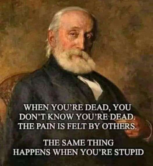 The Last Human chapter 538.1 page 19