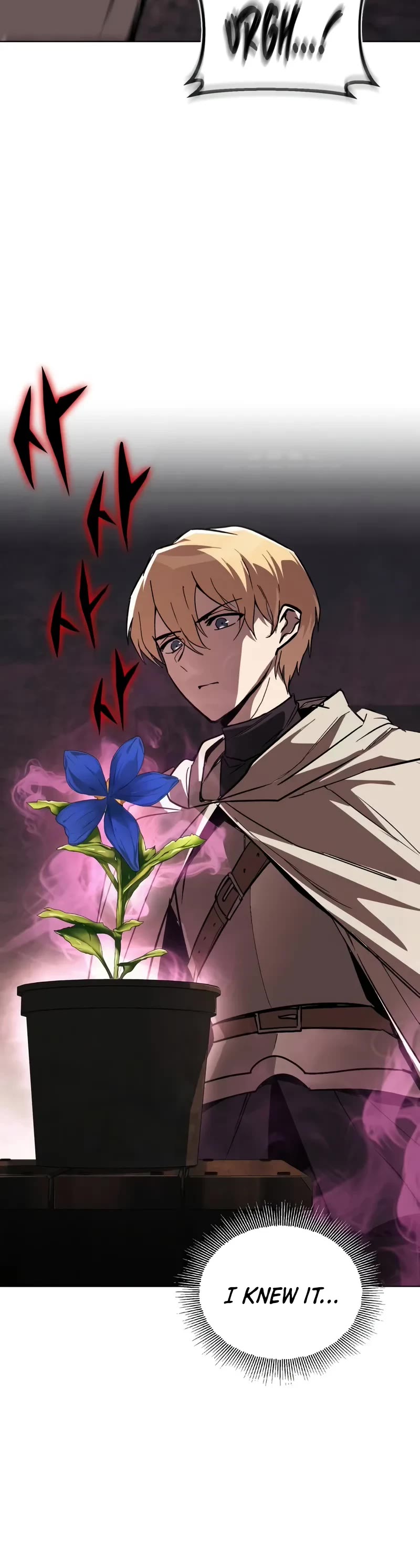 The Lazy Lord Masters the Sword chapter 135 page 41