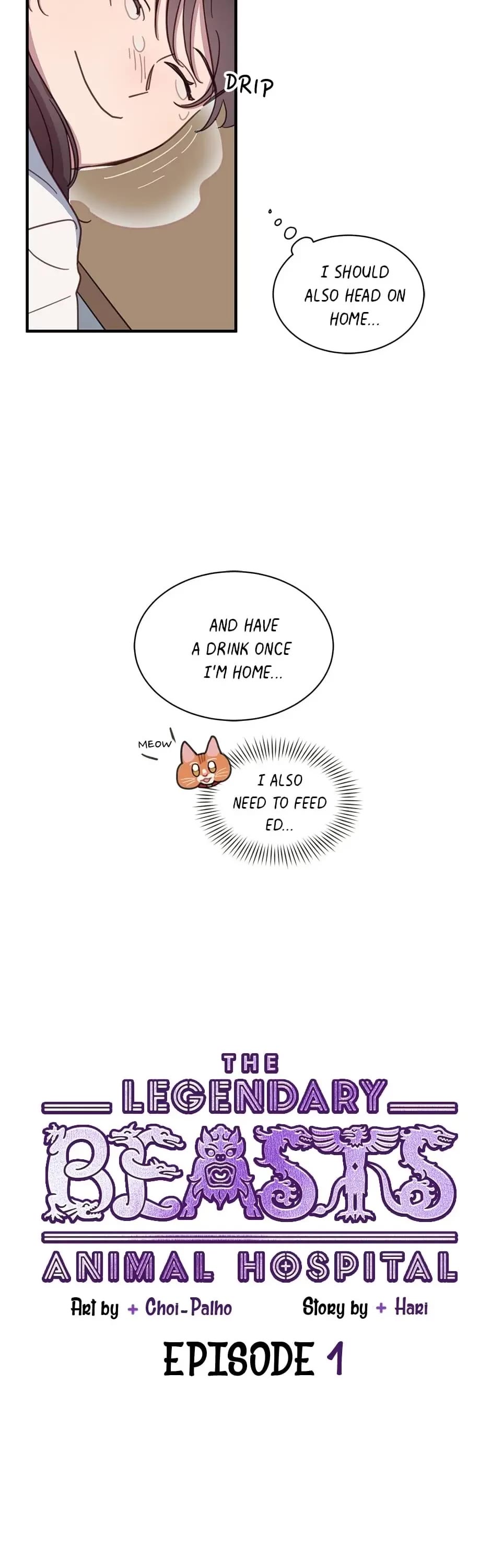 The Legendary Beasts Animal Hospital chapter 1 page 17