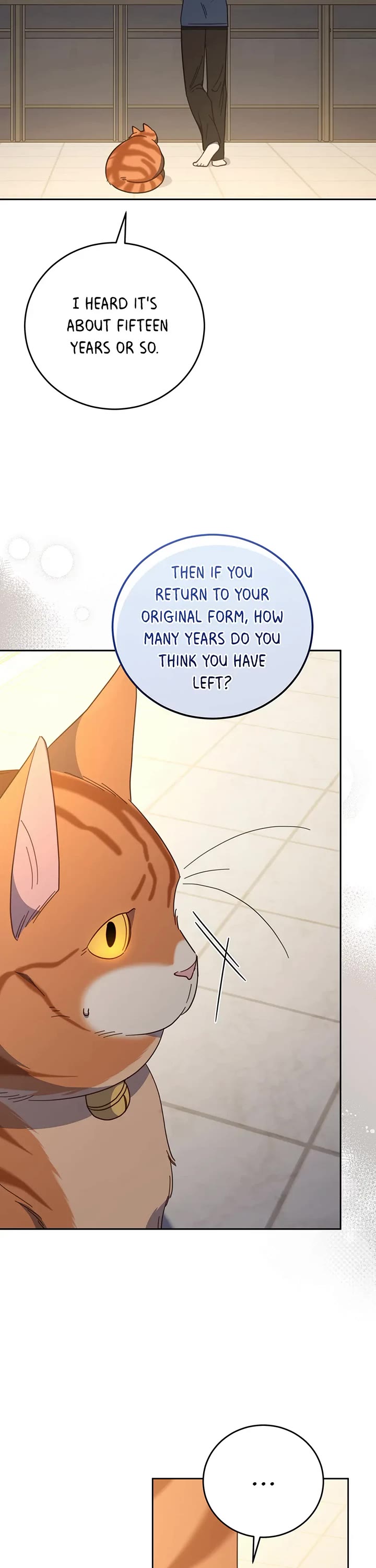 The Legendary Beasts Animal Hospital chapter 129 page 36