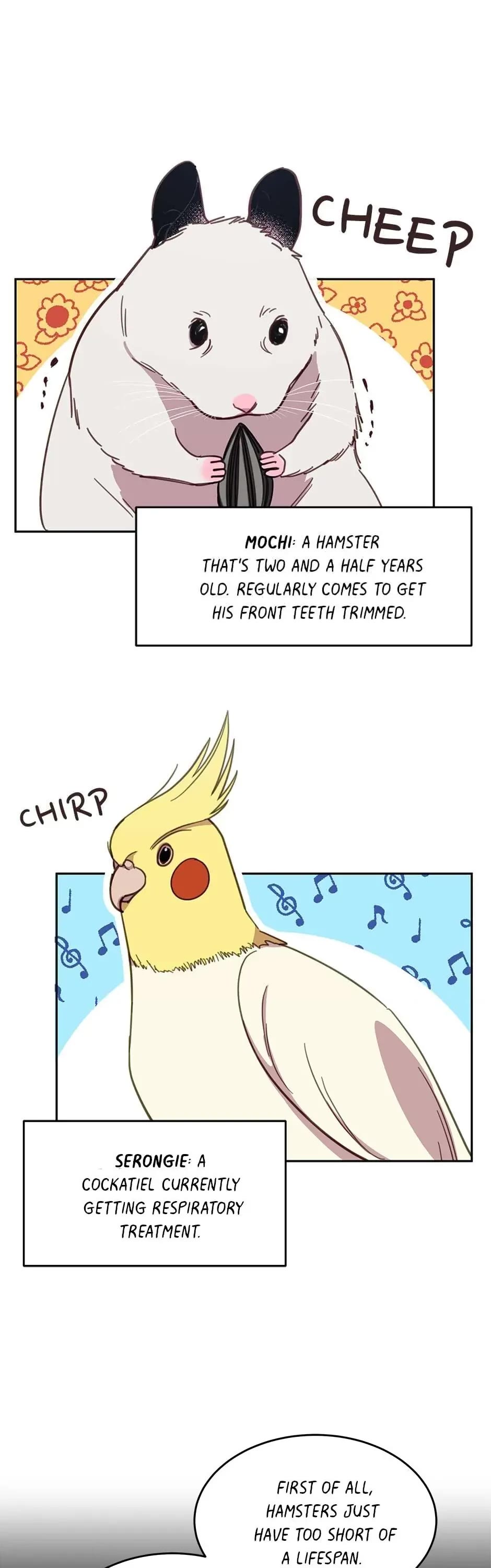 The Legendary Beasts Animal Hospital chapter 17 page 13