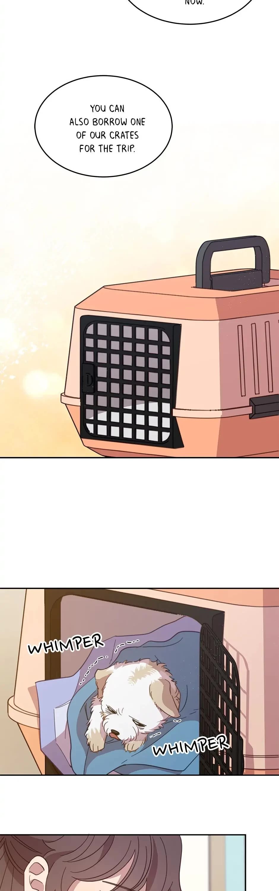 The Legendary Beasts Animal Hospital chapter 19 page 7