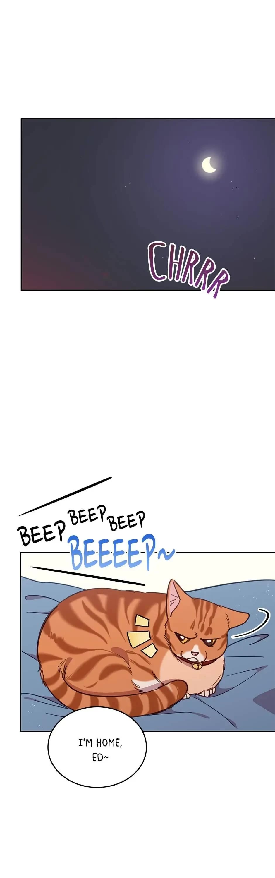 The Legendary Beasts Animal Hospital chapter 28 page 1