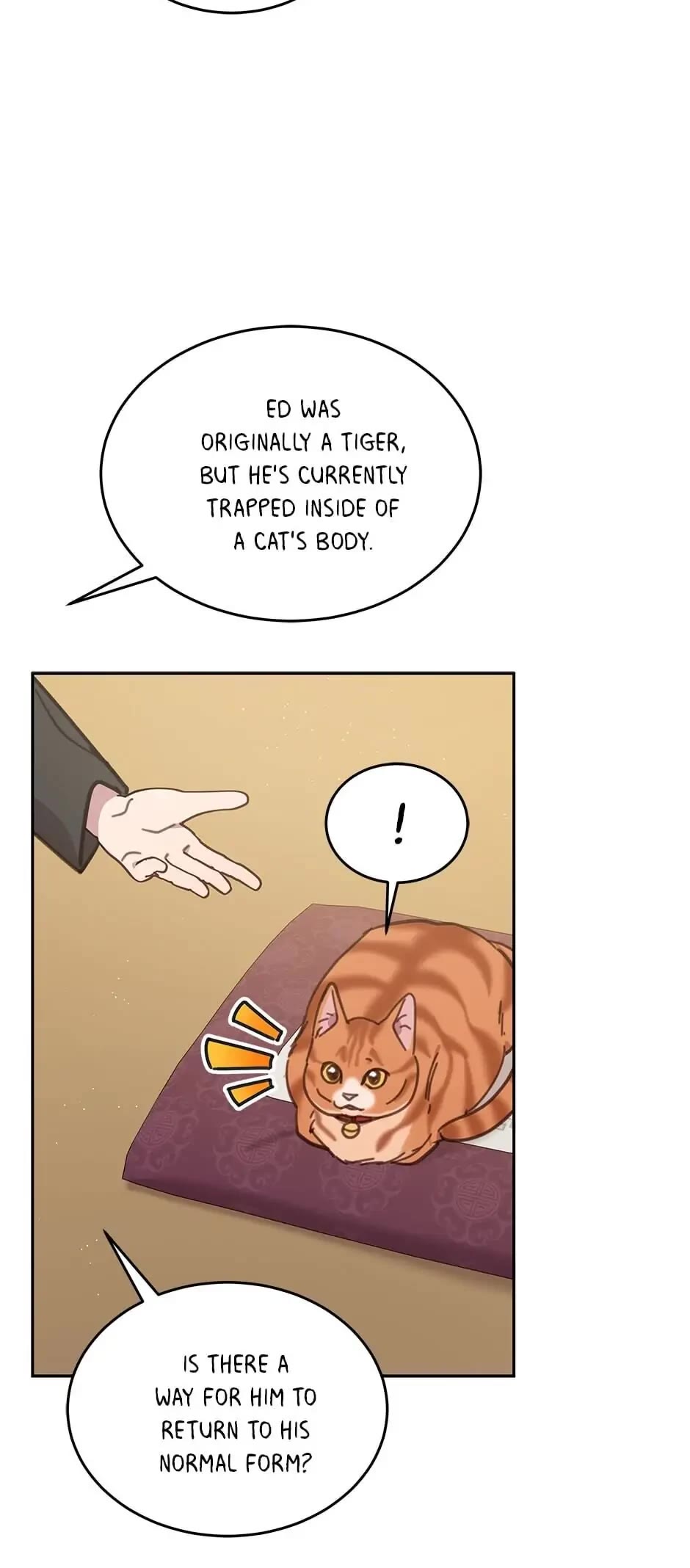 The Legendary Beasts Animal Hospital chapter 39 page 35