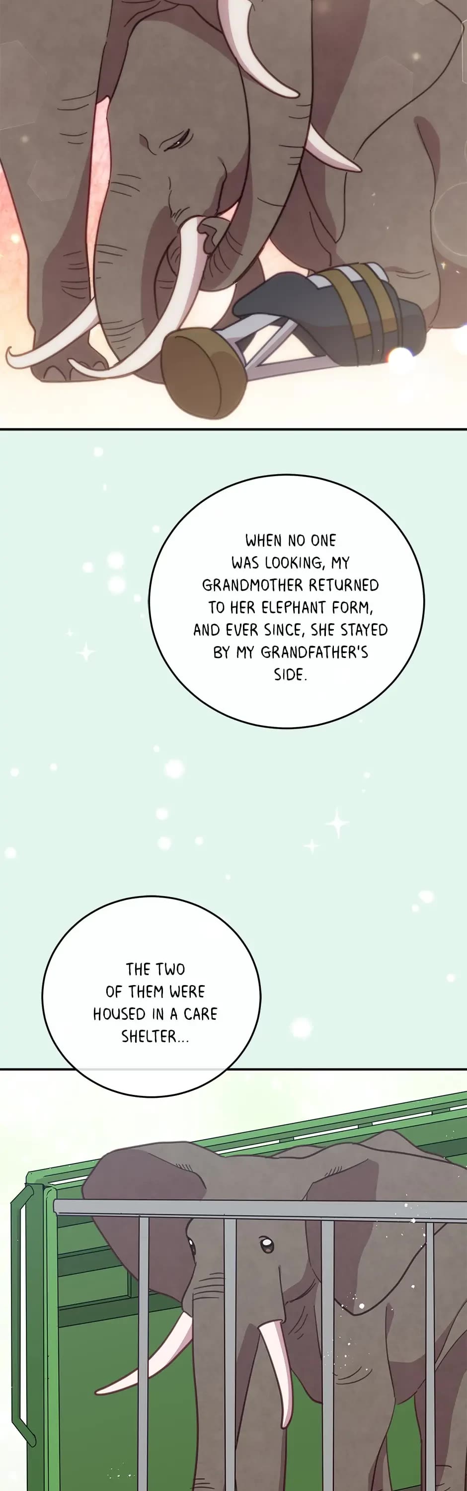 The Legendary Beasts Animal Hospital chapter 56 page 32