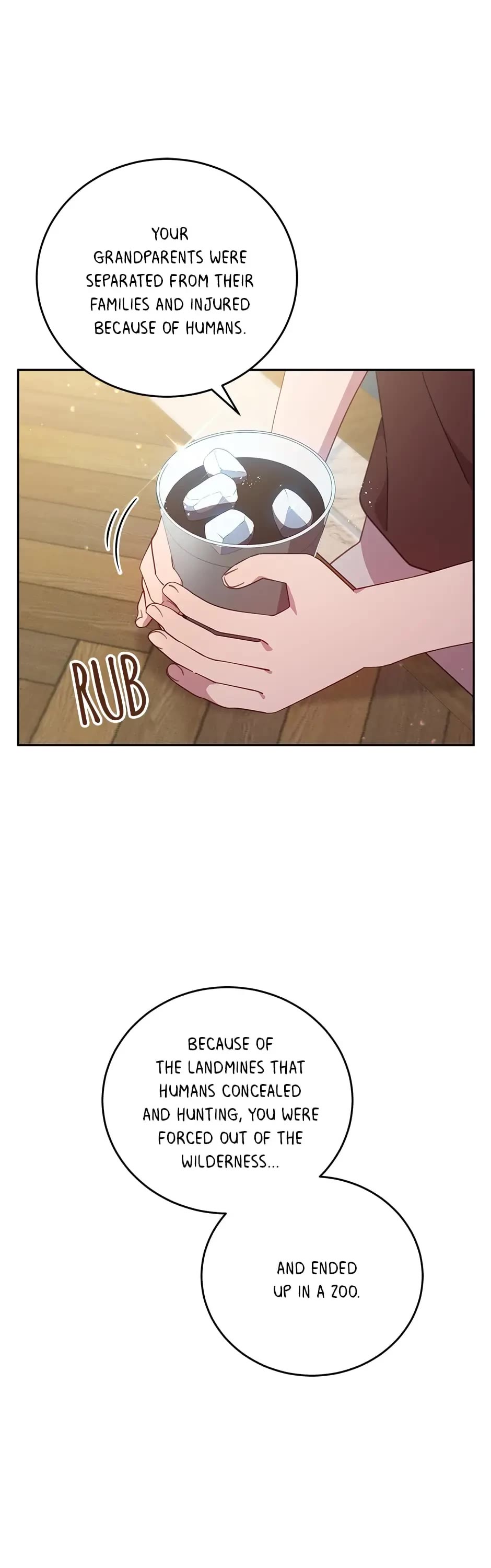 The Legendary Beasts Animal Hospital chapter 56 page 36