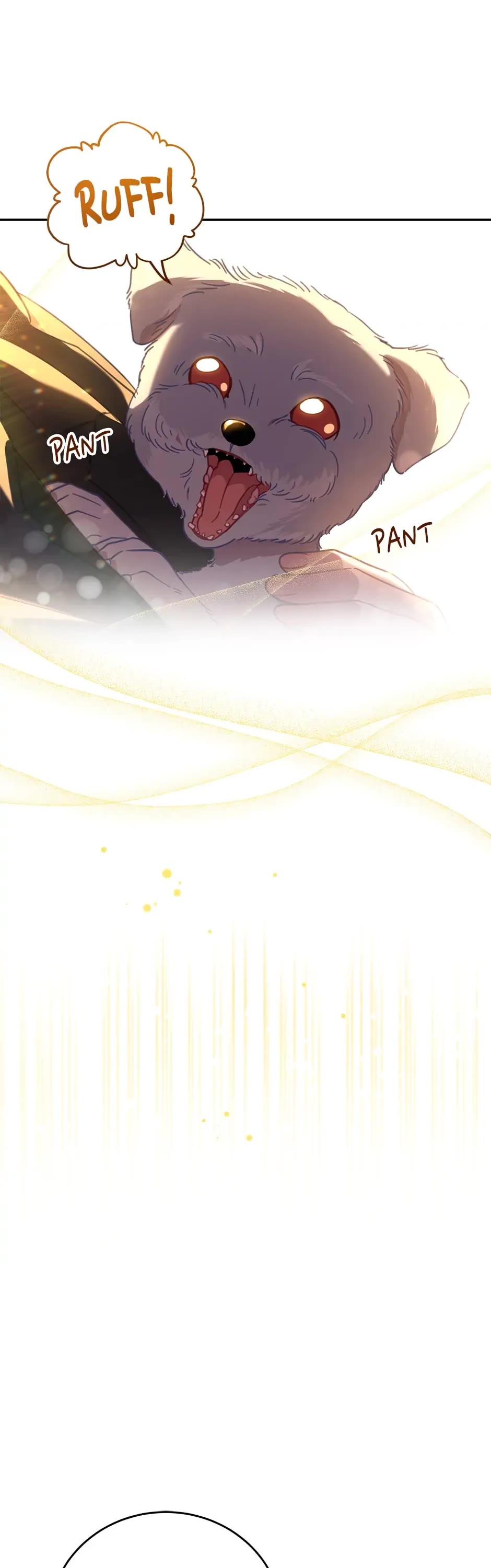 The Legendary Beasts Animal Hospital chapter 66 page 37