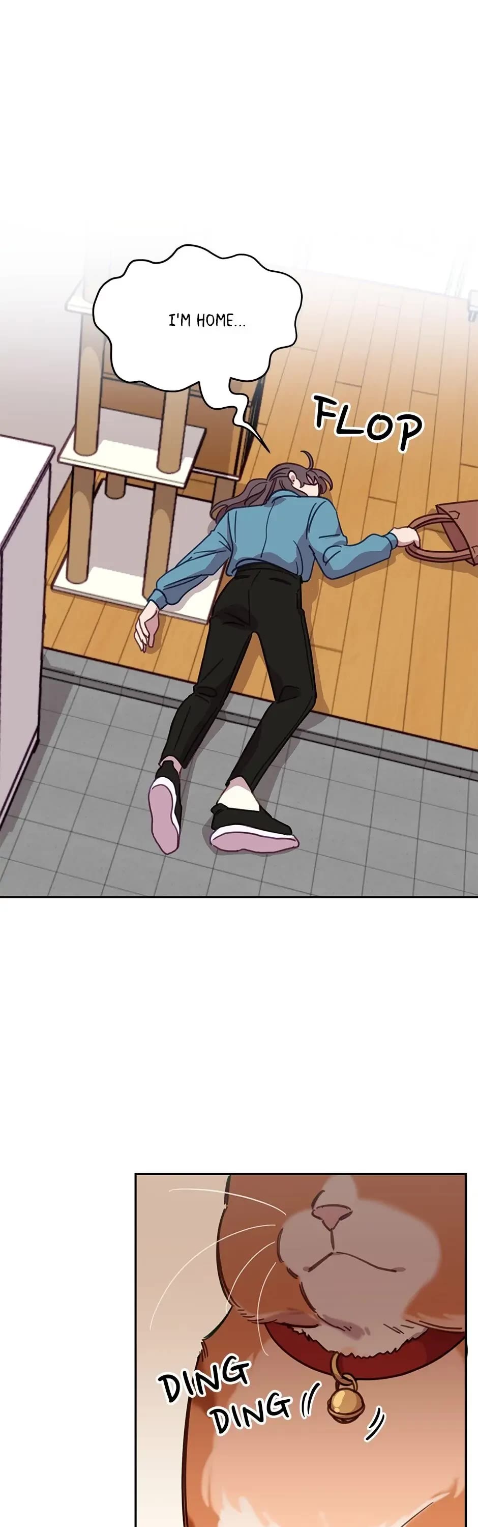 The Legendary Beasts Animal Hospital chapter 7 page 1