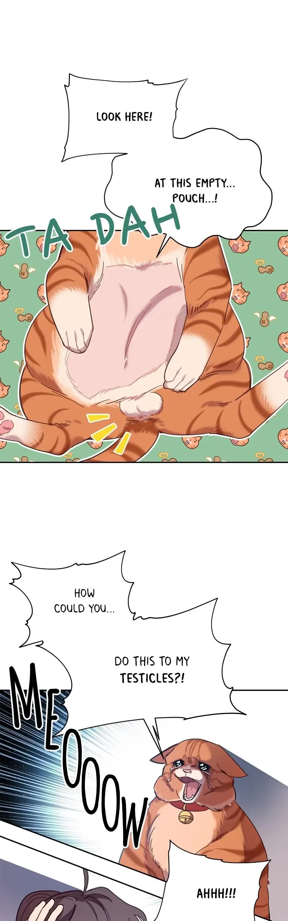 The Legendary Beasts Animal Hospital chapter 7 page 31