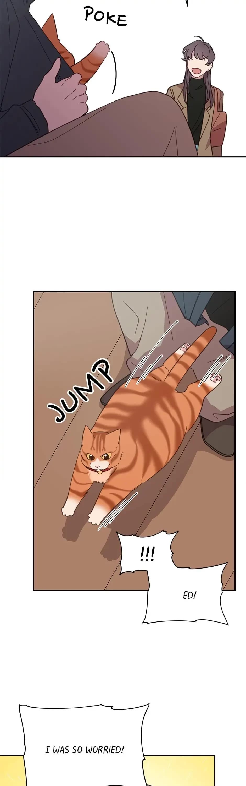 The Legendary Beasts Animal Hospital chapter 8 page 31