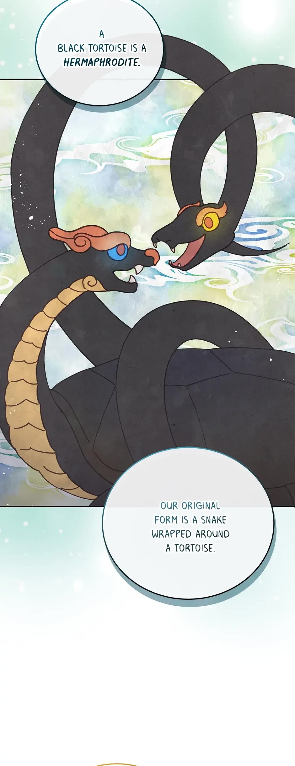 The Legendary Beasts Animal Hospital chapter 88 page 24