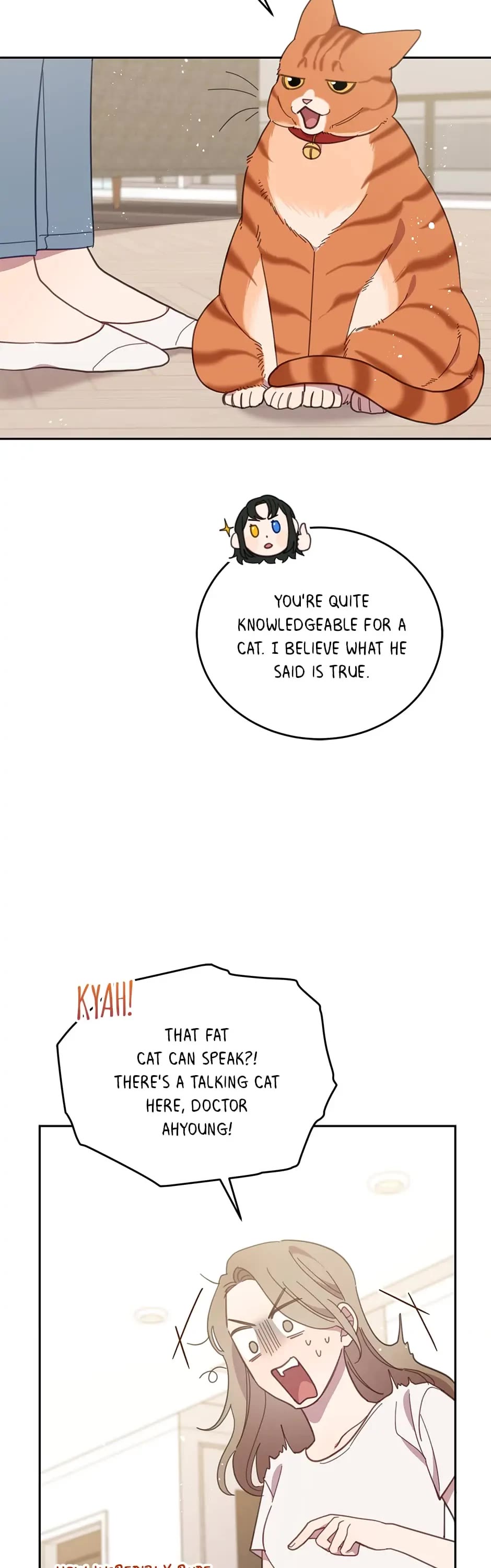 The Legendary Beasts Animal Hospital chapter 89 page 17