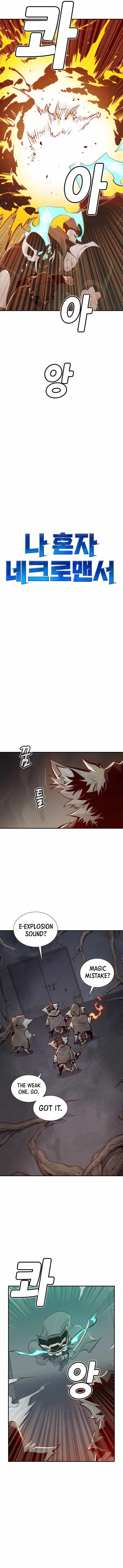 The Lone Necromancer chapter 28 page 11