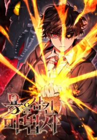 Cover of The Mage: Swallowed the Dragon