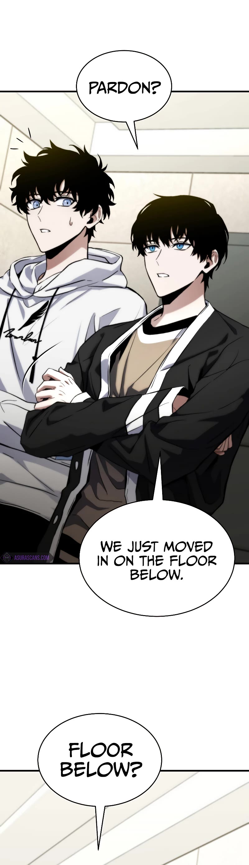 The Max-Level Player’s 100th Regression chapter 10 page 6