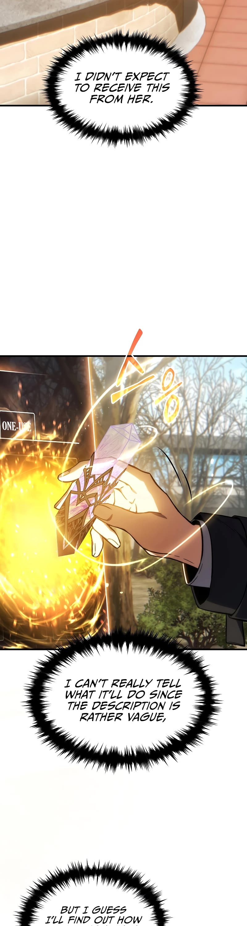 The Max-Level Player’s 100th Regression chapter 20 page 37