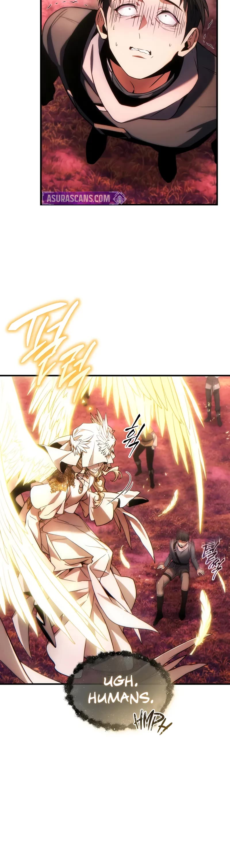 The Max-Level Player’s 100th Regression chapter 46 page 11