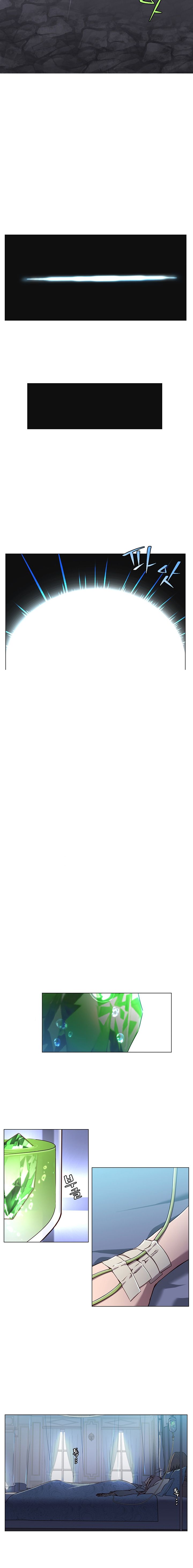 The MAX leveled hero will return! chapter 1 page 8