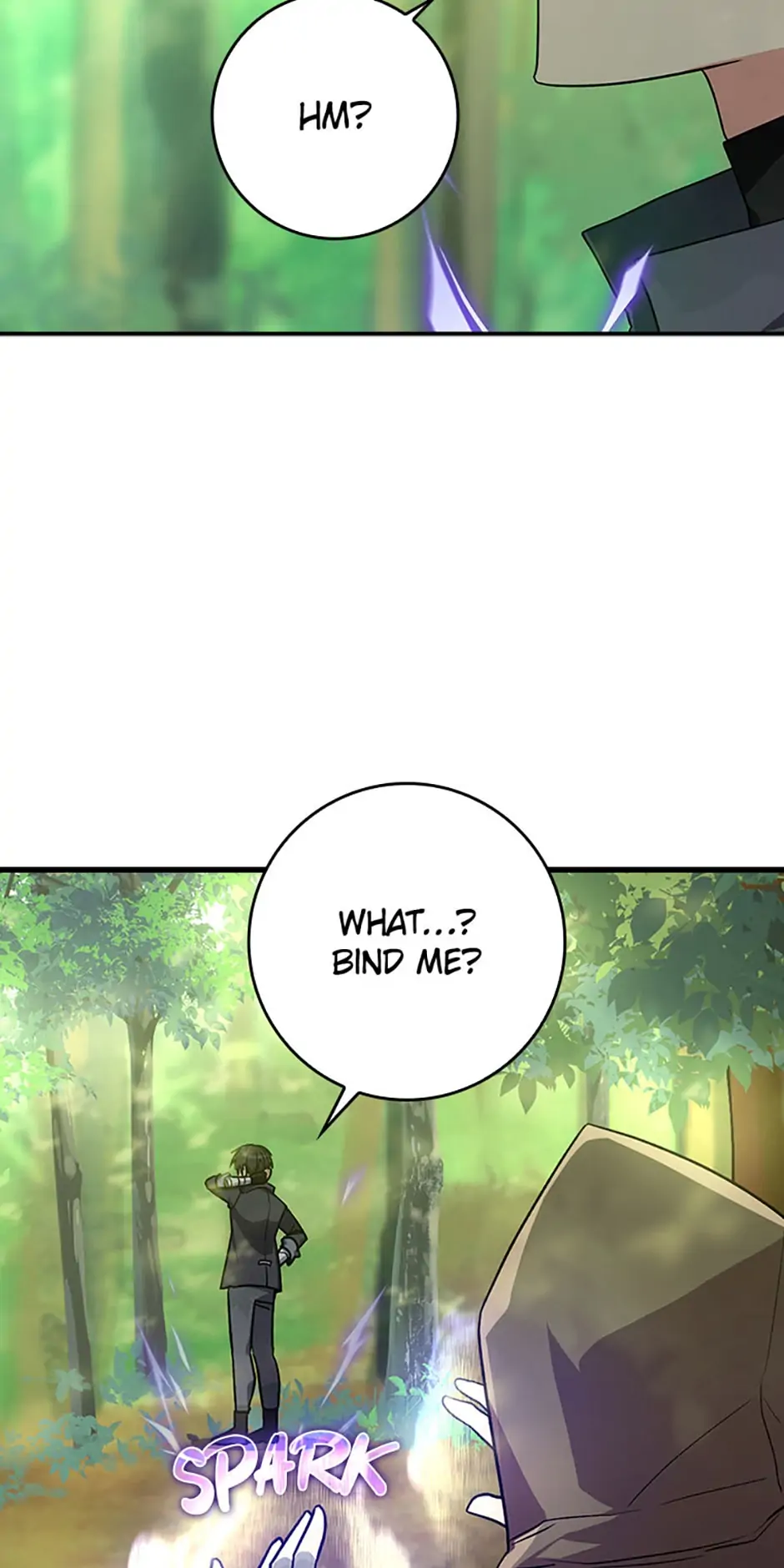 The Maxed-Out Player chapter 5 page 4